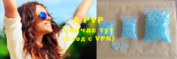 крисы Пересвет