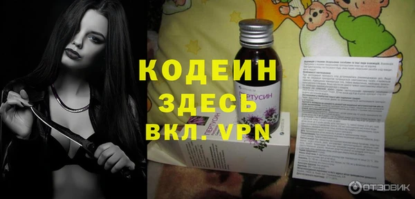 крисы Пересвет