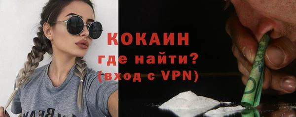 крисы Пересвет