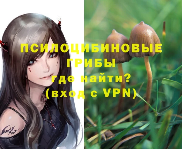 ECSTASY Пестово