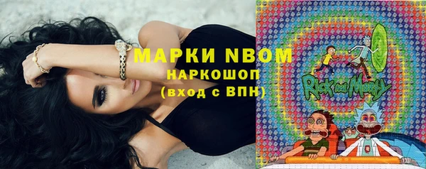 гашик Переславль-Залесский