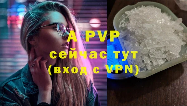ECSTASY Пестово