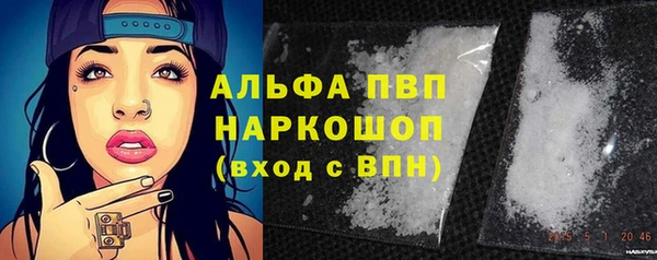 гашик Переславль-Залесский