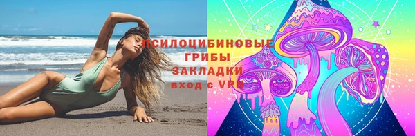 гашик Переславль-Залесский