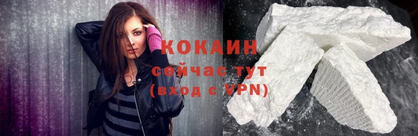 гашик Переславль-Залесский