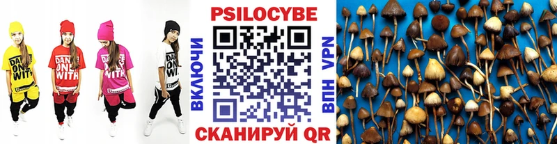 Галлюциногенные грибы Cubensis  наркошоп  Советск 